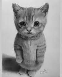 GatoQA3